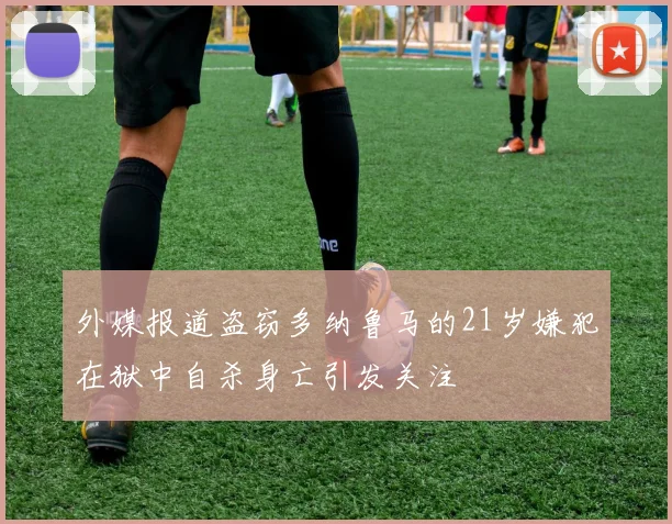 外媒报道盗窃多纳鲁马的21岁嫌犯在狱中自杀身亡引发关注