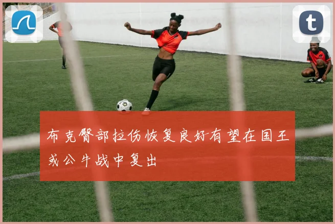 布克臀部拉伤恢复良好有望在国王或公牛战中复出